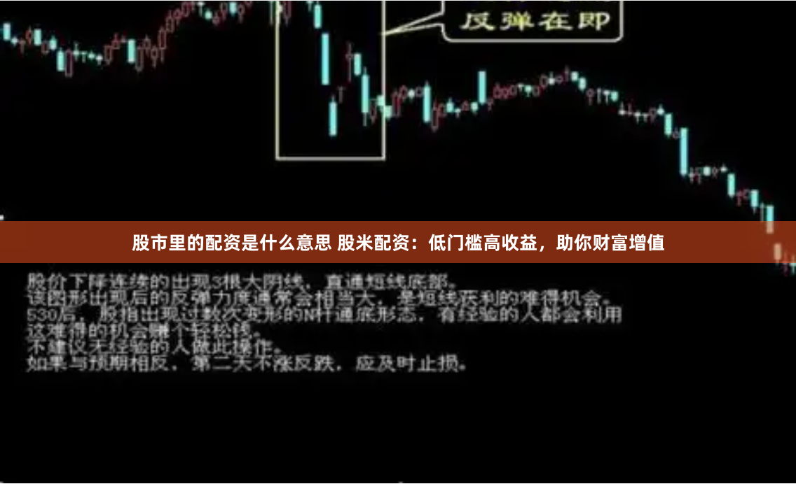 股市里的配资是什么意思 股米配资：低门槛高收益，助你财富增值