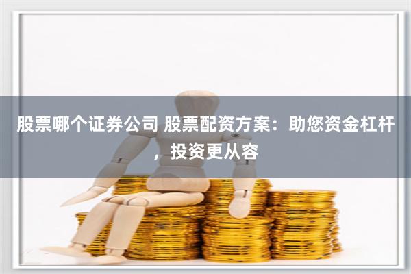 股票哪个证券公司 股票配资方案：助您资金杠杆，投资更从容