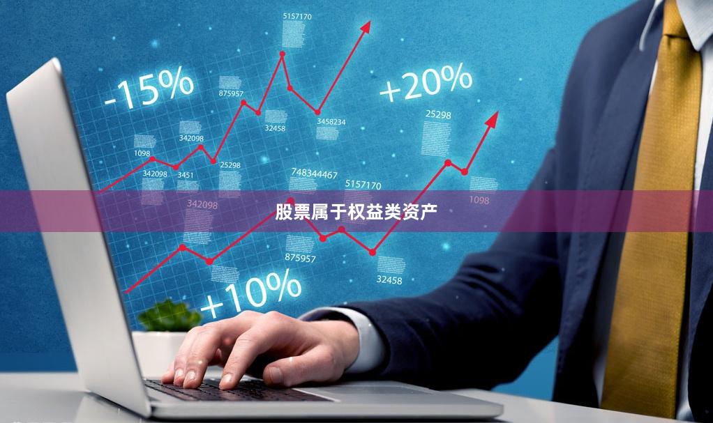 股票属于权益类资产
