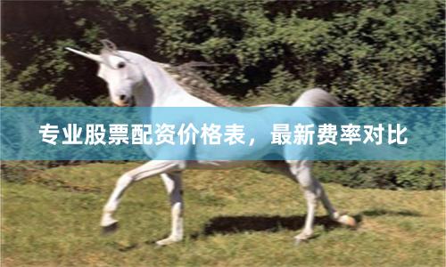 专业股票配资价格表,最新费率对比