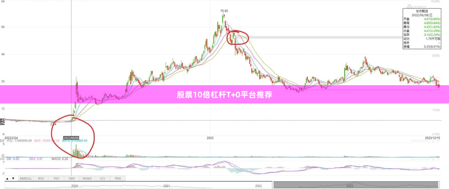 股票10倍杠杆T+0平台推荐